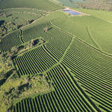 Aerial view of Brazil coffee farm