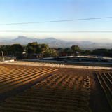 A scenic landscape photograph showing cultivated fields in the foreground, small buildings and trees in the midground, and mountains under a clear blue sky in the background.