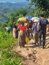 Burundi - Migoti Mountain Peaberry