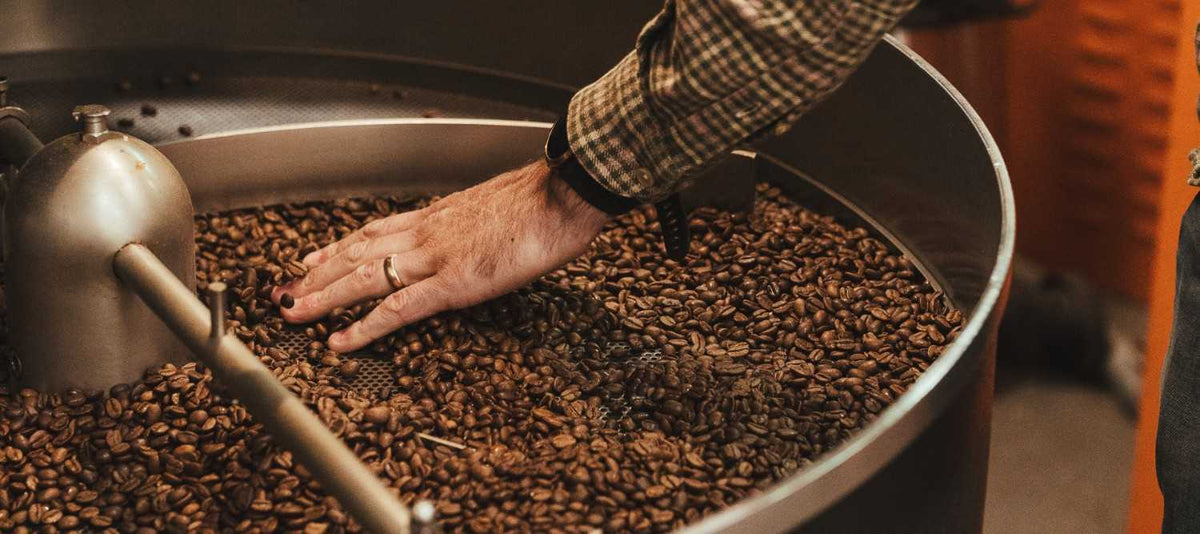 Coffee Beans