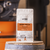 Guatemala - Santa Elisa