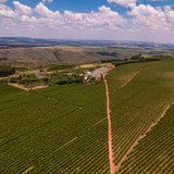 Aerial view of Brazil coffee farm.