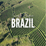 Brazil - Fazenda Cachoeria