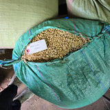 A green woven sack filled with small tan coffee beans, with a small handwritten label attached. Other large sacks are visible in the background.