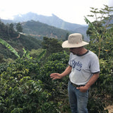 Man standing among coffee plants in a mountainous area