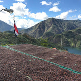 Drying coffee beans on a raised platform with mountains and a lake in the background with the Costa Rican flag