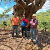 Three men standing outdoors in front of a very large tree on a dirt trail, with mountains and green hills in the background under a blue sky.