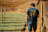 Brazil - Fazenda Pinhal