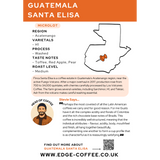 Guatemala - Santa Elisa