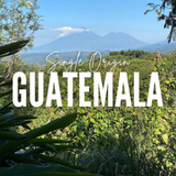Guatemala - Santa Elisa