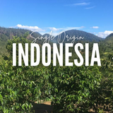 Indonesia - Gayo Highlands