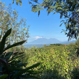Tilt-shift effect of a river surrounded by lush greenery with a clear blue sky.