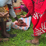 Two people sitting on the ground with containers and a patterned blanket, surrounded by green grass.