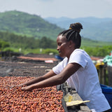 A lady sorts through coffee cherries in Kenya