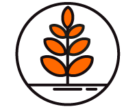 sustainability tree icon